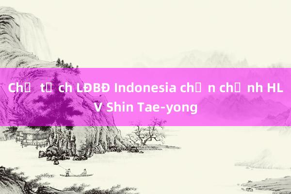 Chủ tịch LĐBĐ Indonesia chấn chỉnh HLV Shin Tae-yong