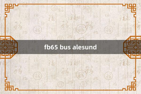 fb65 bus alesund