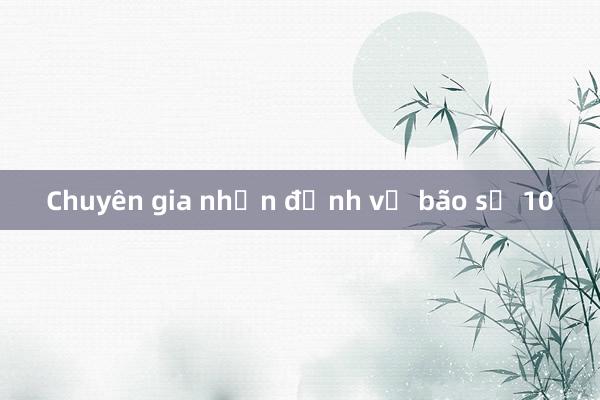 Chuyên gia nhận định về bão số 10