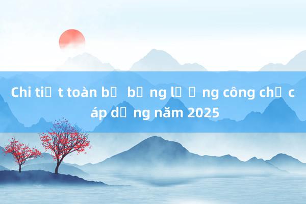 Chi tiết toàn bộ bảng lương công chức áp dụng năm 2025