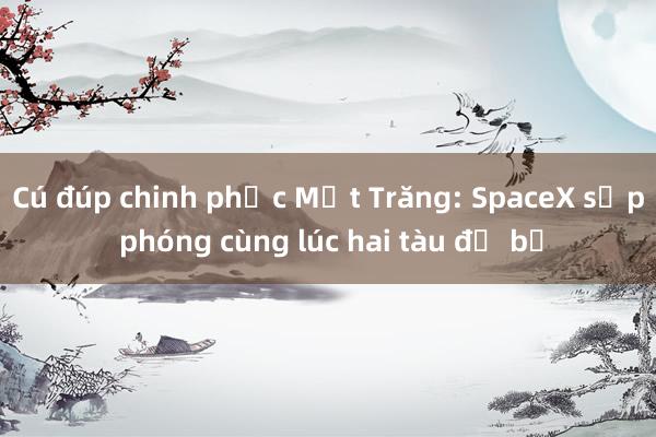 Cú đúp chinh phục Mặt Trăng: SpaceX sắp phóng cùng lúc hai tàu đổ bộ