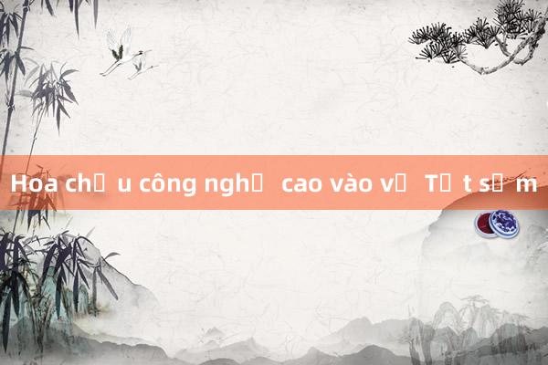 Hoa chậu công nghệ cao vào vụ Tết sớm