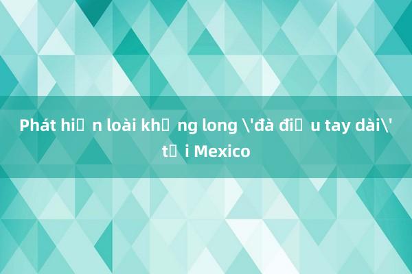 Phát hiện loài khủng long 'đà điểu tay dài' tại Mexico