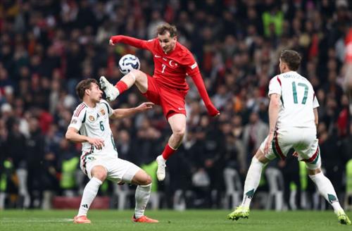 Ultimate Guide to Sports Betting Basics